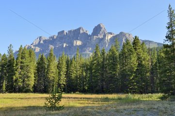 Landscape in the Jasper NP in Canada