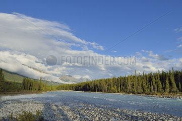 Landscape in the Jasper NP in Canada