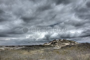 Coastal dune and sky tormented Somme Picardy France