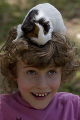 Portrait of a boy with a Guinea pig on his head