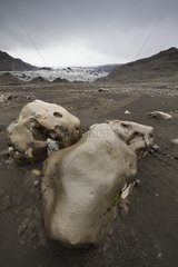 Lava blocks Svinafellsjoekull Glacier NP Skaftafell Iceland