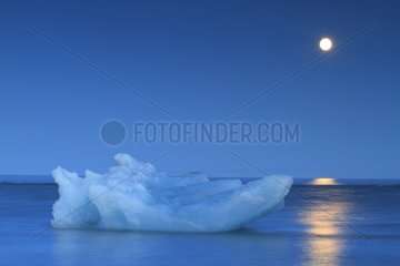 Iceberg drifting on the sea since Joekulsárlón Iceland