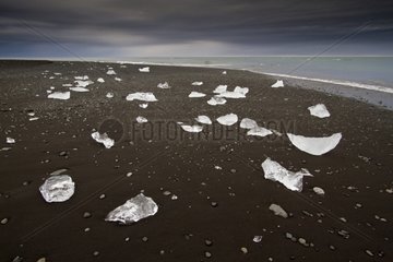 Ice of Lake Joekulsárlón stranded on a beach Iceland