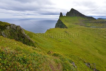 Coastal landscape of the peninsula Hornstrandir - Iceland
