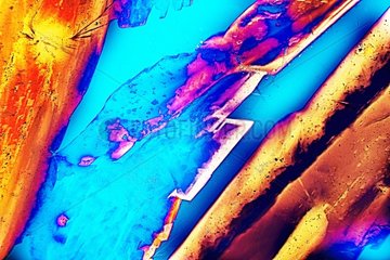 Copper sulphate crystals in polarized light