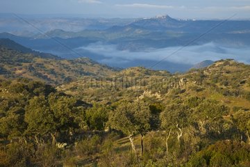 Sierra Andujar Natural Park in Andalusia Spain