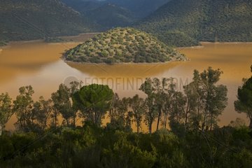 Reservoir of the river Jándula Sierra Andujar NP Andalusia