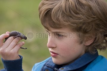 Boy and Spotted Salamander New York USA