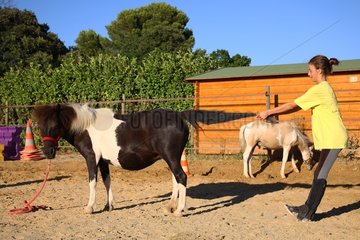Girl doing exercise with a foal France