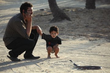 Man and boy watching an Egyptian Cobra Tunisia