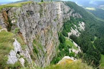 Limestone cliffs of Mont d'Or France Franche-Comté