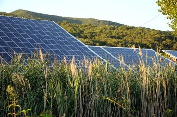 Solar park on an industrial France