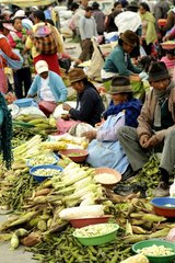 Selling fruit and vegetables at the market Saquissili Ecuado