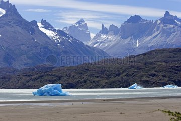Iceberg on the lago grey - Torres del Paine Chile