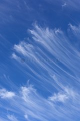 Cirrus uncinus in the sky at the end of the summer France