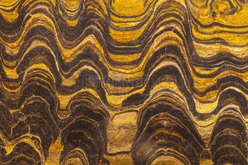 Stromatolites microorganism fossils Precambian period Spain
