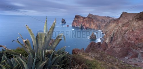 Rocky shore of Sao Loureno Point East Coast Madeira