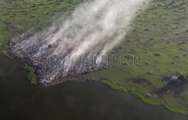 The White Nile and the Sudd during an aerial wildlife survey