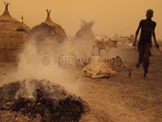 Nuer Cattle Camp in the Tioch Southern Sudan