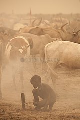 Nuer Cattle Camp in the Tioch Southern Sudan