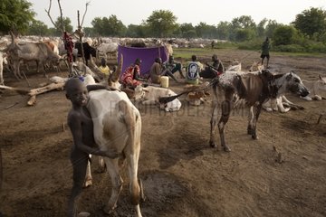 Dinka cattle camp on the bank of the White Nile South Sudan