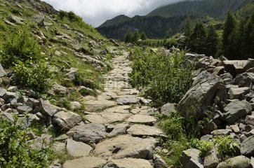 Stony mountain path Prapic Ecrins NP Alps France
