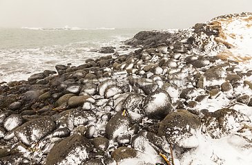 Hail on Reykjanes coast in winter in Iceland