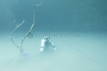 Diving in Angelita Cenote in Mexico