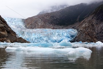 Tracy Arm glacier South Sawyer Glacier in Alaska