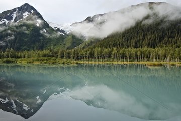 Portage Valley Alaska USA