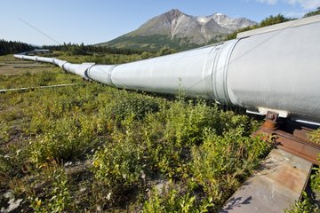Trans-Alaska oil pipeline in the tundra Alaska USA
