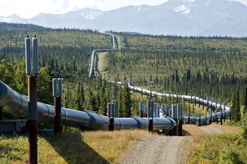 Trans-Alaska oil pipeline in the taiga Alaska USA