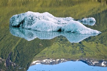 Iceberg on a glacial lake Valdez Alaska USA