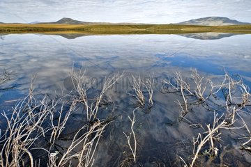 Reflection on Two Mooses LakTombstone Territorial Park Yukon