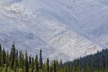 Link of Blackstone Tombstone Territorial Park Yukon Canada
