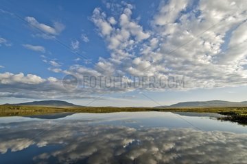 Two Mooses Lake reflection Tombstone Territorial Park Yukon