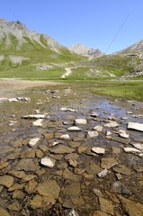 Mountain stream Col Agnel Queyras Massif Alpes France