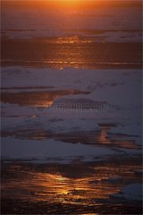 Sunrise on the ice of the Northwest Passage Canada