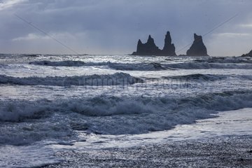 Dyrholaey rocky coastline in Iceland