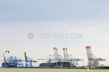Container carrier and loading cranes in the port of Le Havre