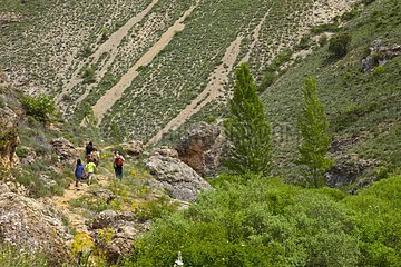 Family hike Cañón del Río Caracena Spain
