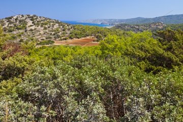 Mediterranean landscape of Rhodes Island in Greece