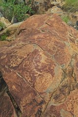 Petroglyph site near Peet Alberts Kamanjab Namibia