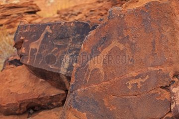 Giraffes petroglyph site Peet Alberts Namibia