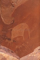 Elephant petroglyph site Peet Alberts Namibia