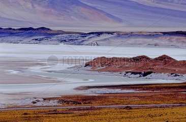 Salar Aguas Calientes Gebiet der Anden Atacama Chile