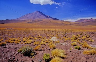 Volcano Puntas Negras area of the Andes Atacama Chile
