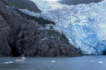 Holgate glacier in the Kenaï Fjords NP in Alaska