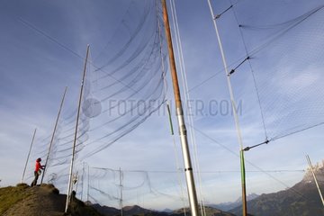Nets to capture banding Bretolet Pass Swiss Alps