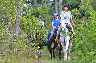Horseback riding in the forest Blancaneaux Lodge Belize